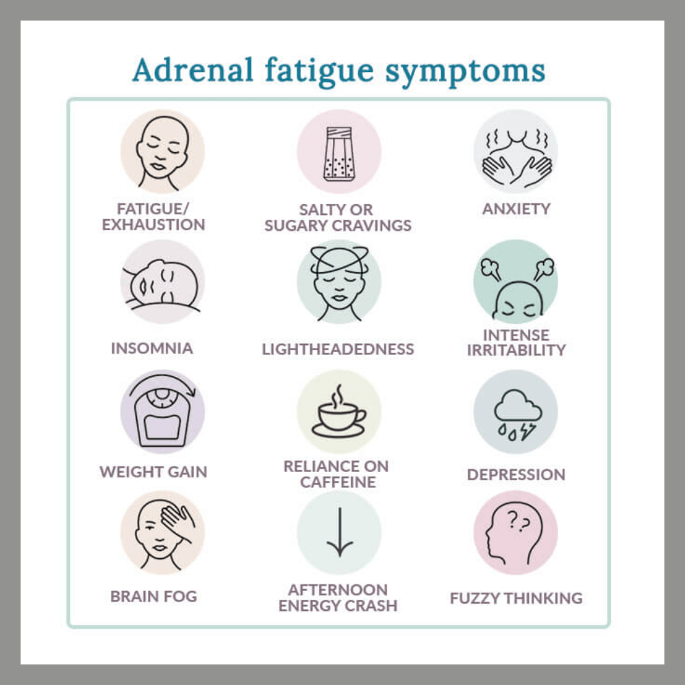 Understanding Stress: The Body’s Alarm System